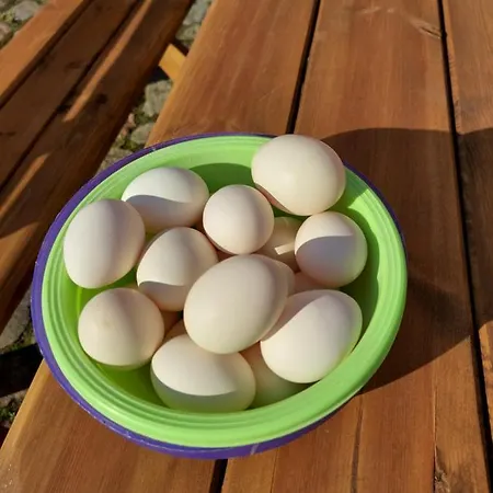 Sielski Spokoj Lodge