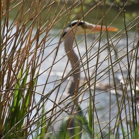 Sielski Spokoj Lodge