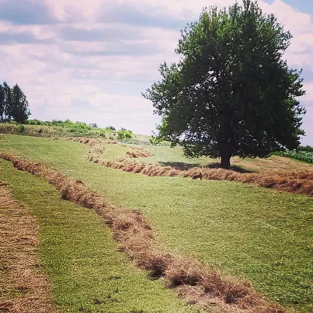 Lodge Sielski Spokoj *