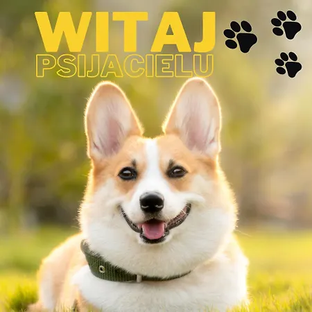 Lodge Sielski Spokoj